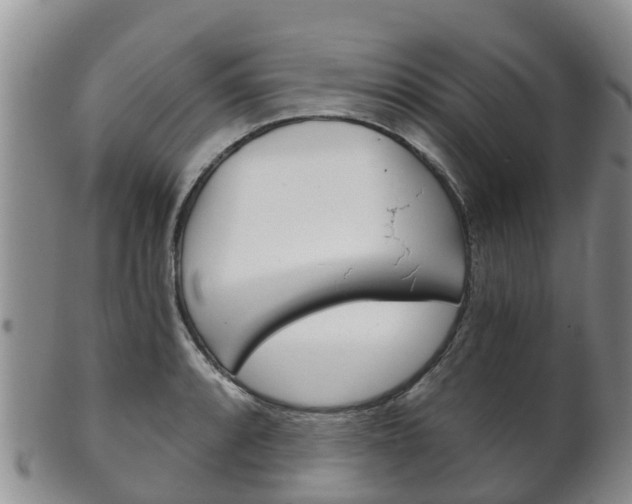 X0000102521088200808081024