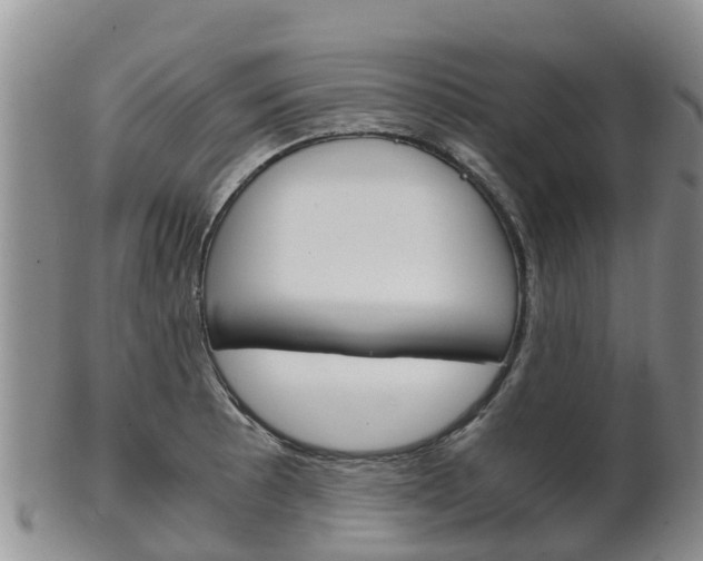 X0000102521089200808081024