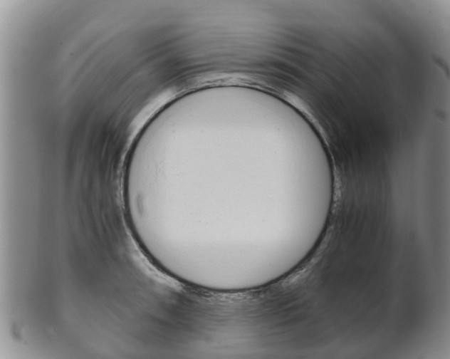 X0000102521090200808081024