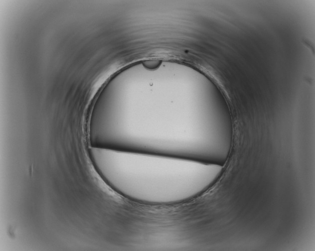 X0000102521091200808081024