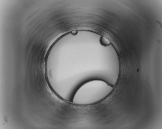 X0000102521092200808081024