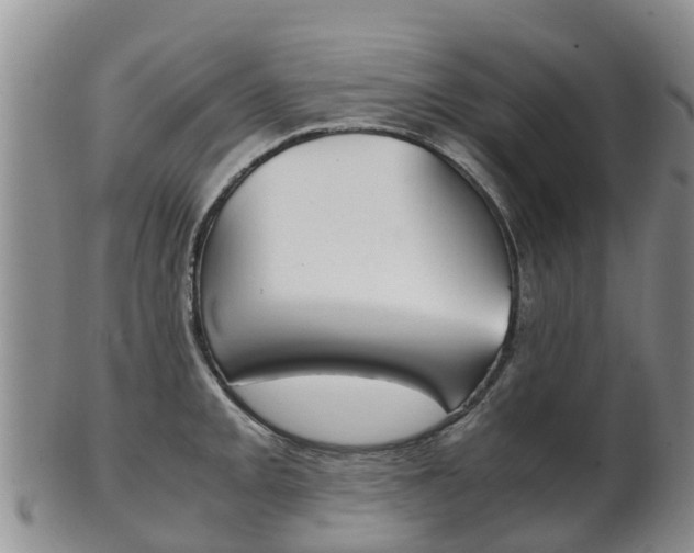 X0000102521093200808081024