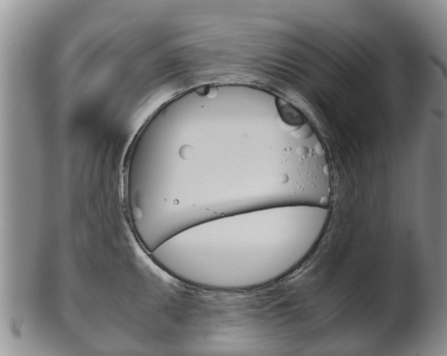 X0000102521095200808081024