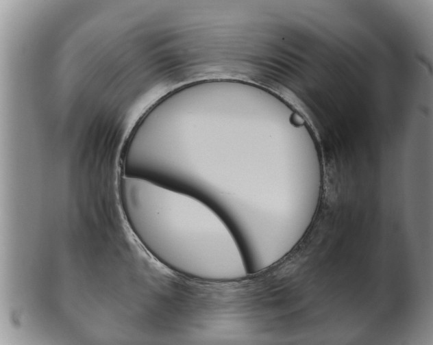X0000102521096200808081024