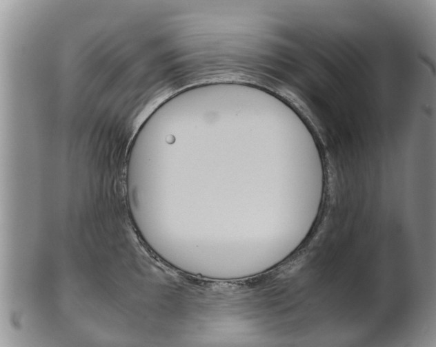 X0000102521097200808081024