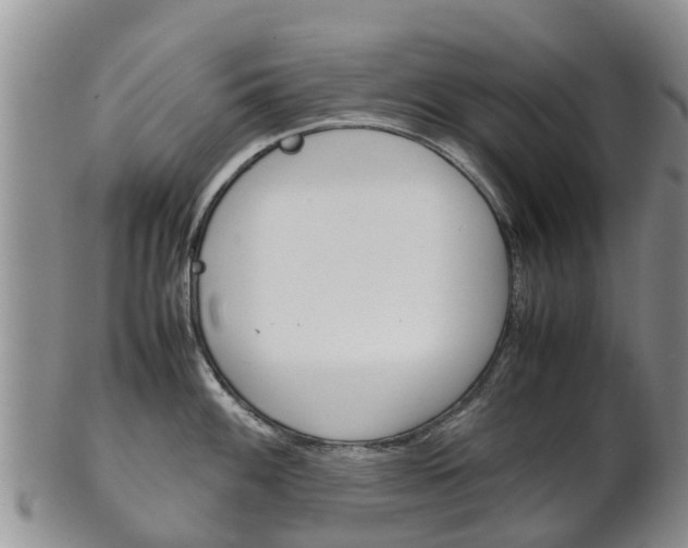 X0000102521100200808081024
