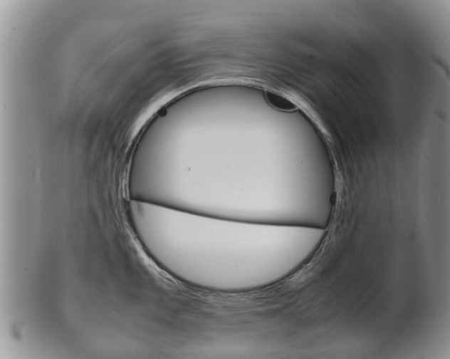 X0000102521101200808081024