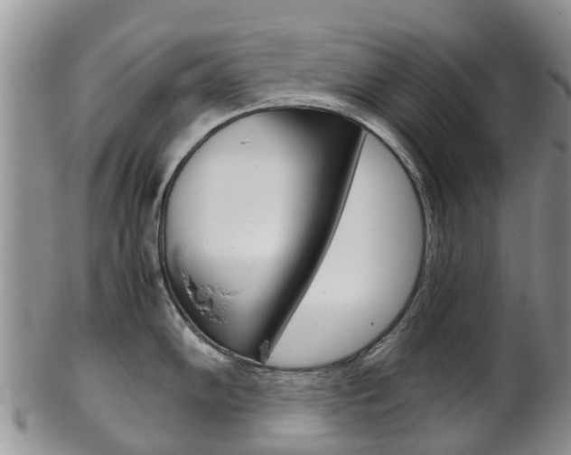 X0000102521102200808081024