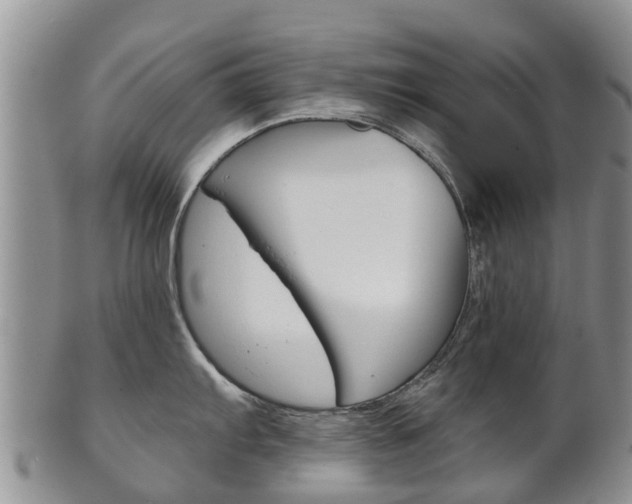 X0000102521103200808081024