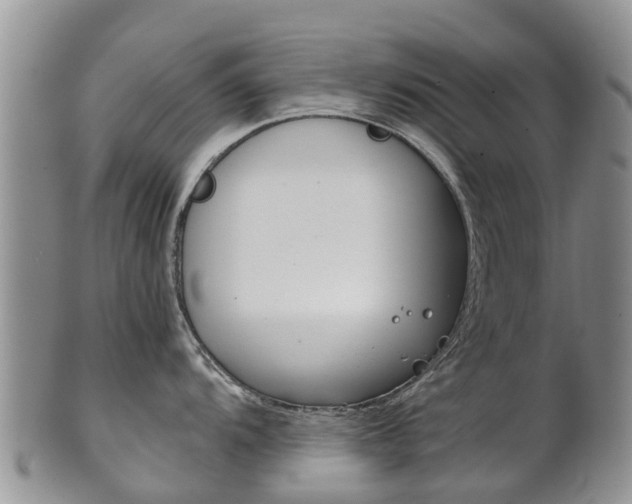 X0000102521104200808081024