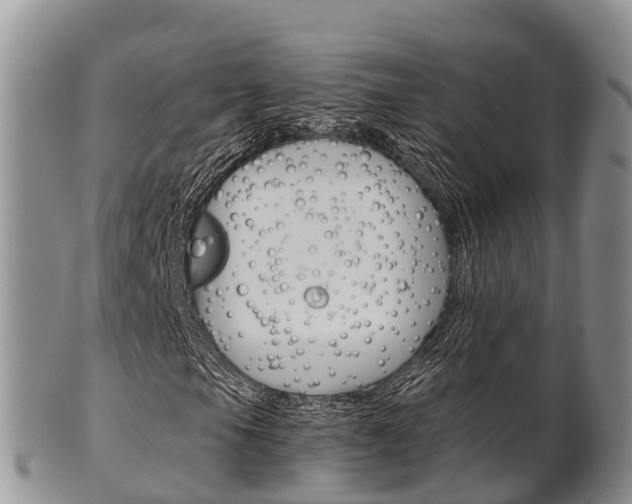X0000102521105200808081023