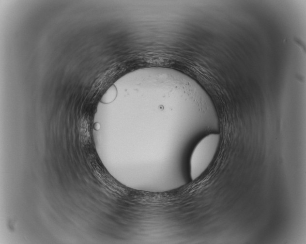 X0000102521106200808081023