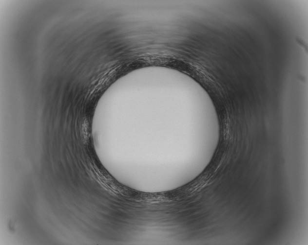 X0000102521108200808081023
