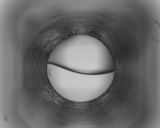 X0000102521109200808081023