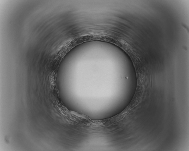 X0000102521110200808081023