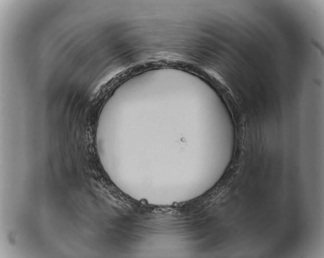 X0000102521112200808081023