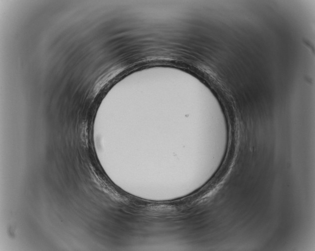 X0000102521113200808081023