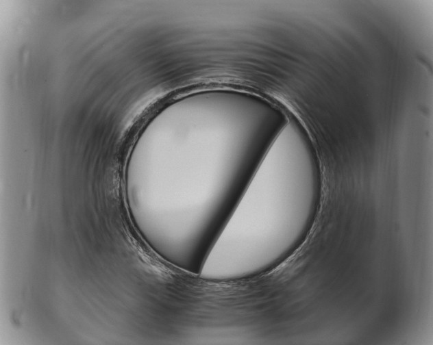 X0000102521115200808081023