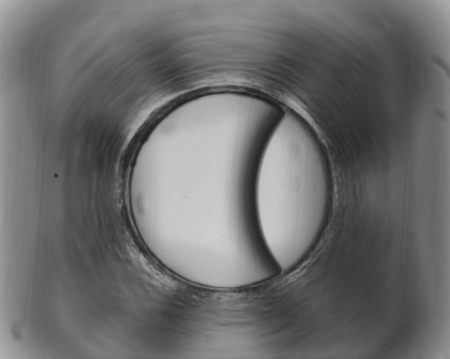 X0000102521116200808081023