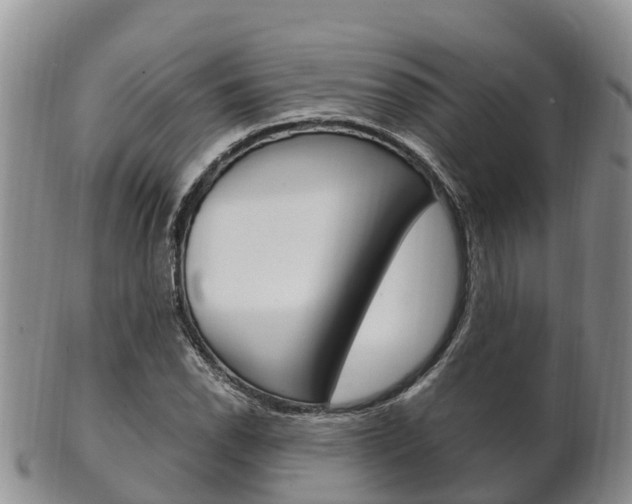 X0000102521118200808081023