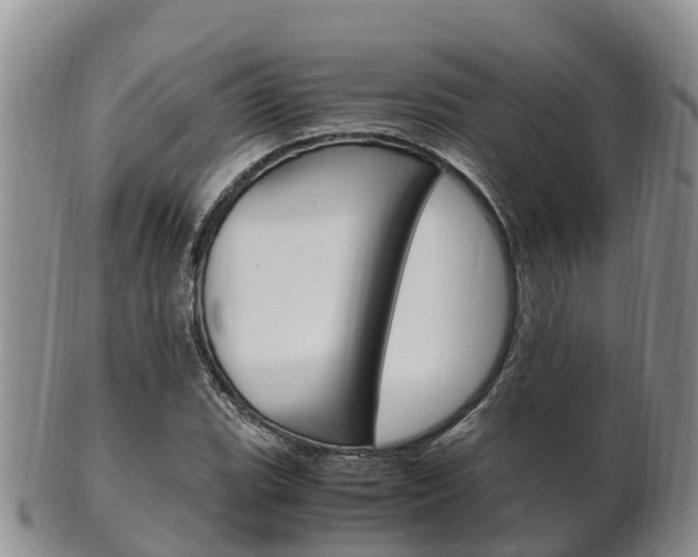 X0000102521119200808081023
