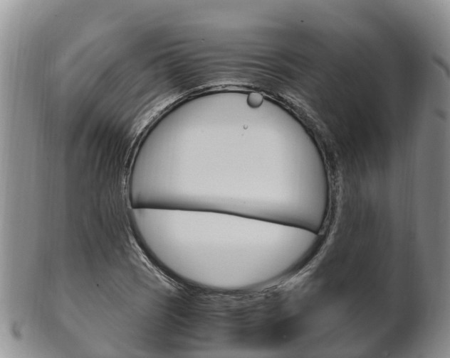 X0000102521121200808081023