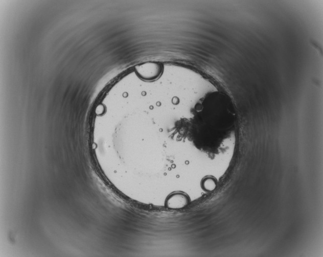 X0000102521122200808081023