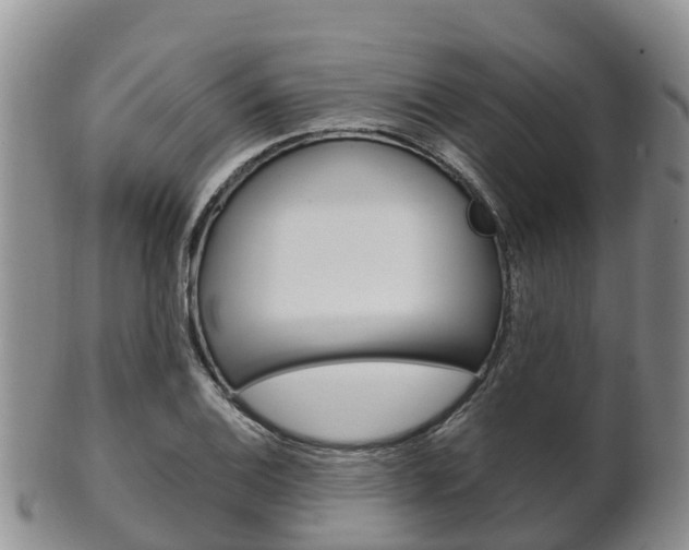 X0000102521124200808081023