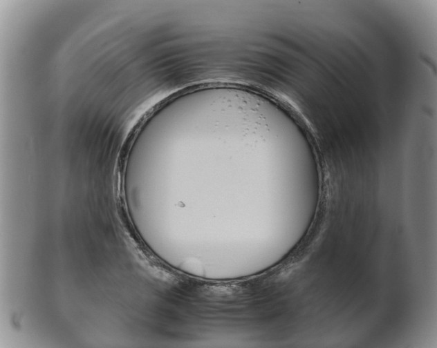 X0000102521125200808081023