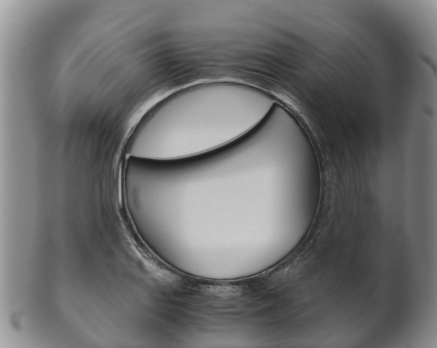 X0000102521127200808081023