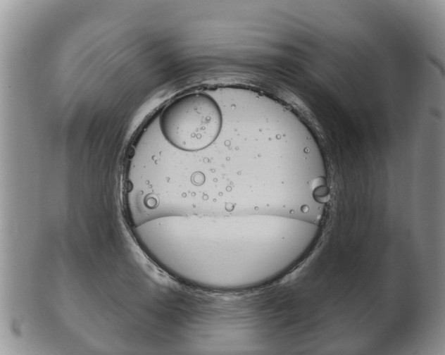 X0000102521130200808081023