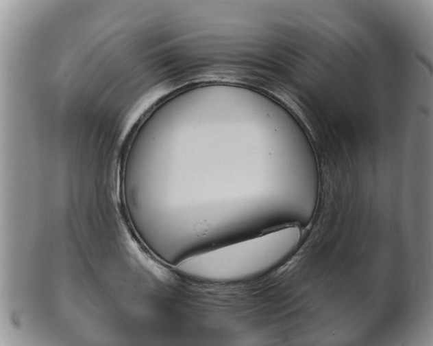 X0000102521131200808081023