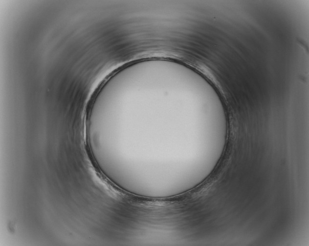 X0000102521132200808081023