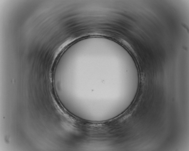 X0000102521133200808081023