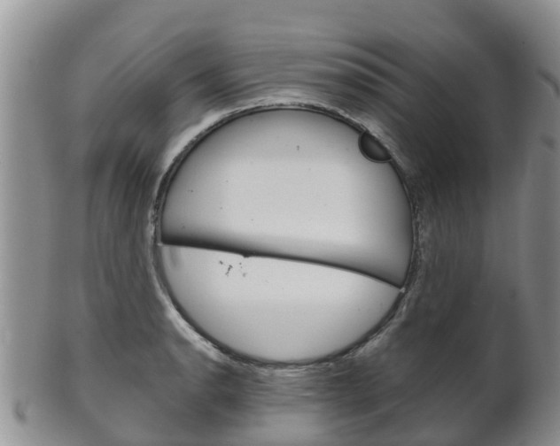 X0000102521134200808081023