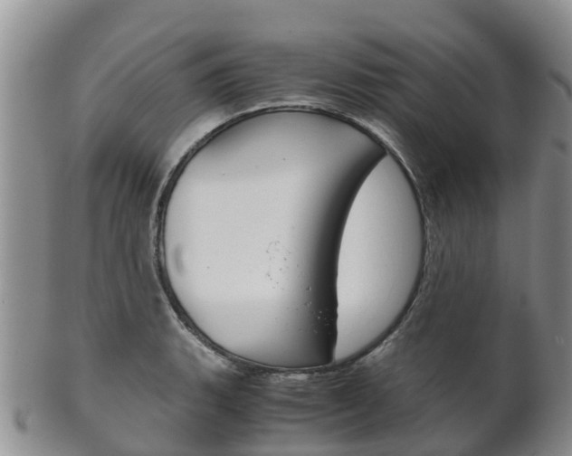 X0000102521135200808081023