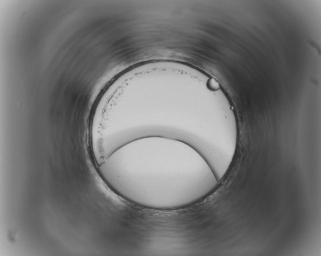X0000102521136200808081024