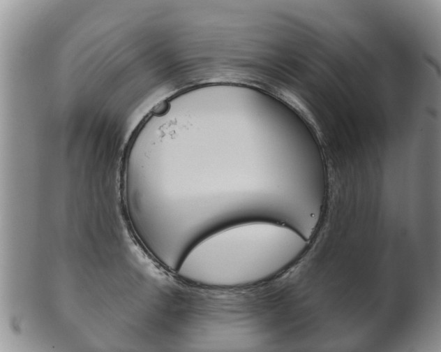 X0000102521138200808081024
