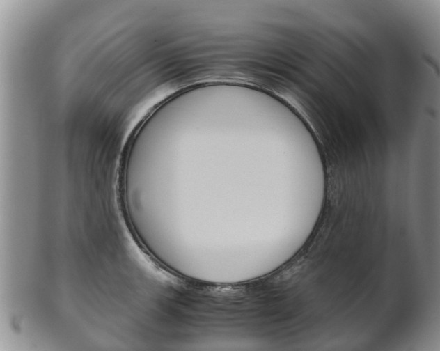 X0000102521139200808081024
