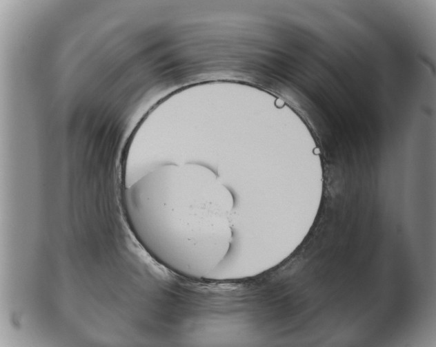 X0000102521140200808081024