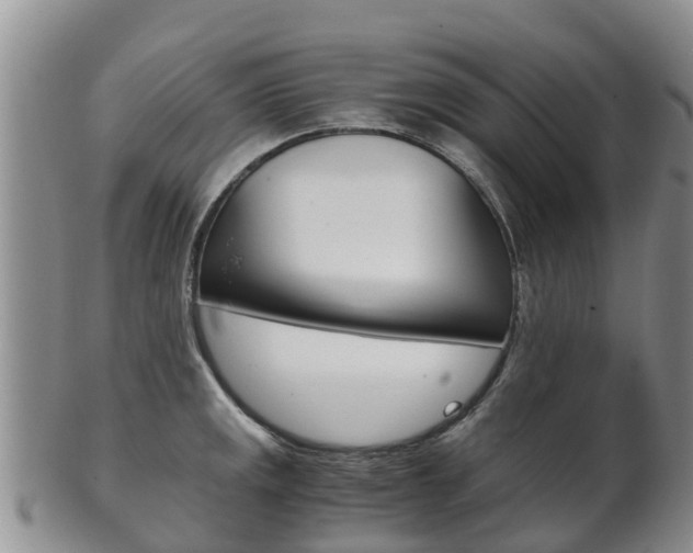 X0000102521141200808081024