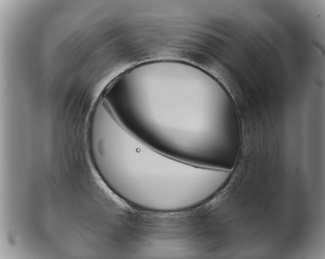X0000102521142200808081024