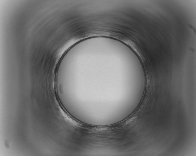 X0000102521143200808081024