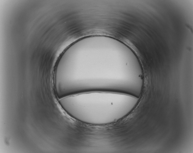 X0000102521144200808081024