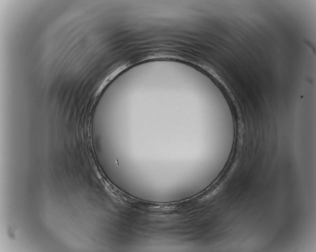 X0000102521145200808081024