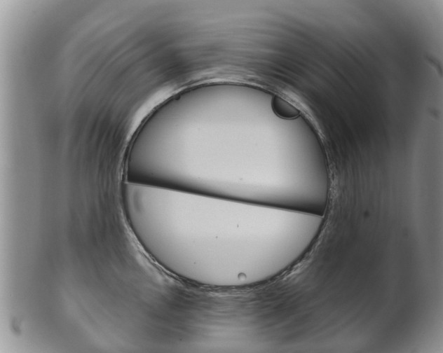 X0000102521146200808081024