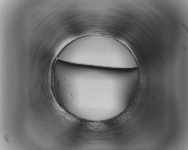 X0000102521147200808081024