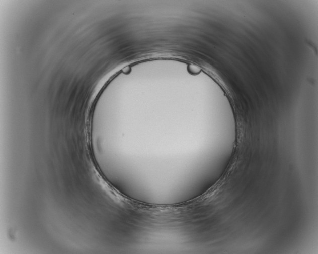 X0000102521148200808081024