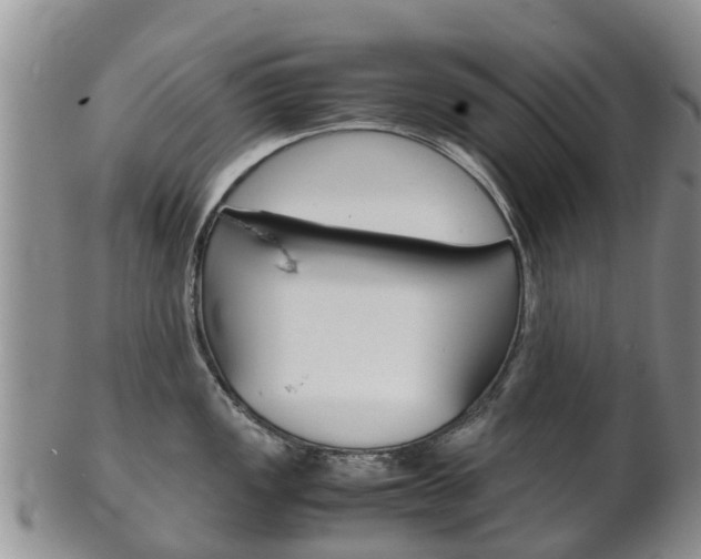 X0000102521149200808081024