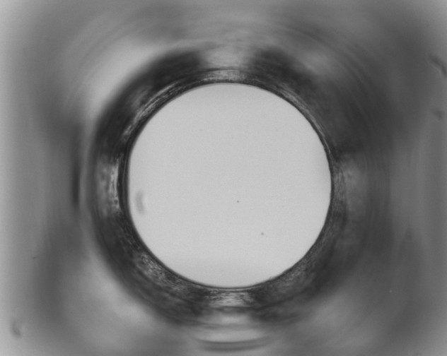 X0000102521150200808081024
